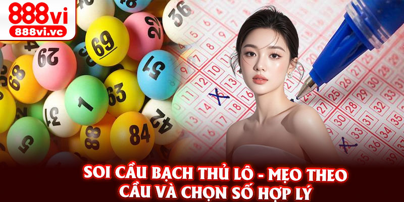 Soi Cau Bach Thu Lo Meo Theo Cau Va Chon So Hop Ly